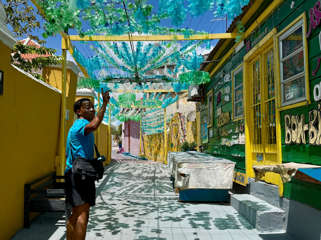 Dushi TukTuk Rentals-威廉斯塔德必去景点