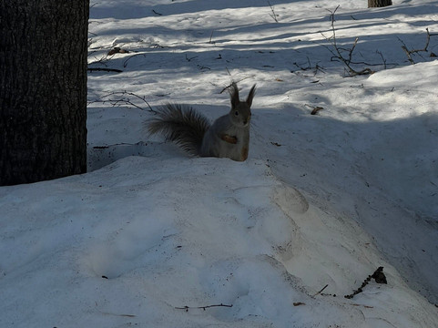 Gorky Central Amusement Park-彼尔姆必去景点
