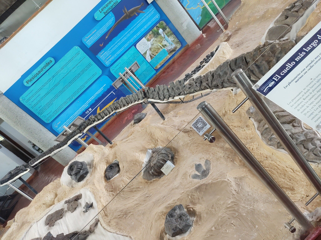 Museo Paleontologico de Villa de Leyva-莱瓦镇必去景点