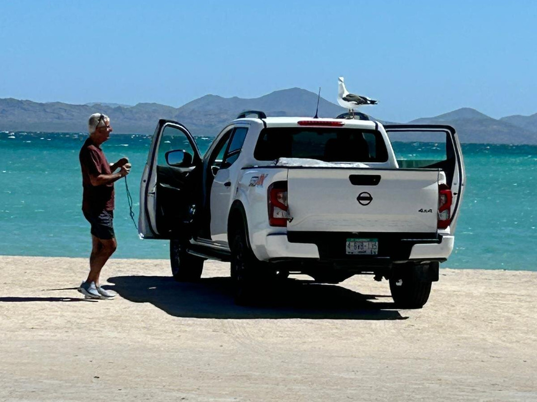 Baja California Travel-拉巴斯必去景点