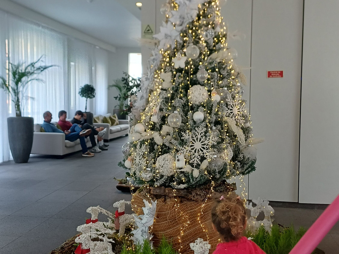 Enotel Santo da Serra主图