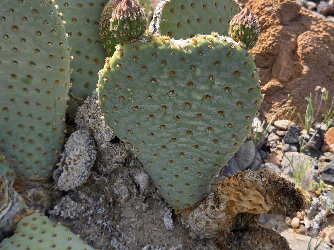 Mountain Travel Sobek-埃默里维尔必去景点