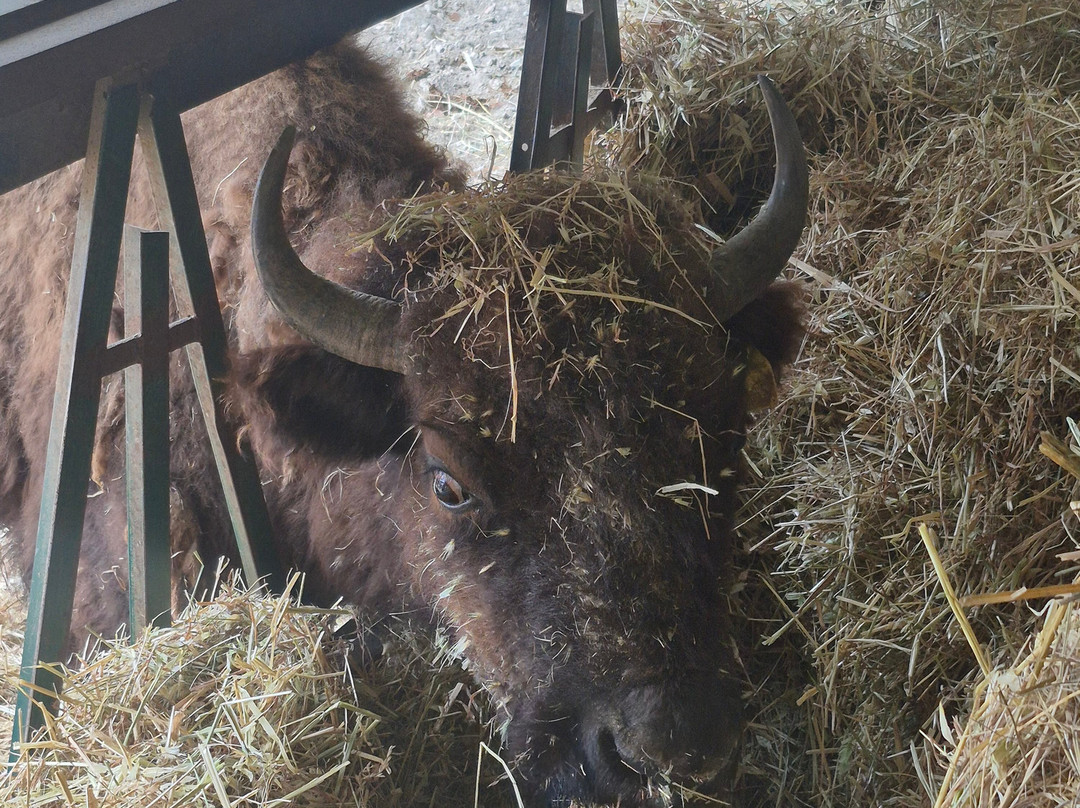 Città Della Domenica-佩鲁贾必去景点