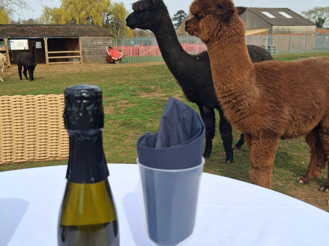 Billing Aquadrome-北安普敦必去景点