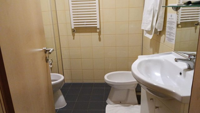 雷吉纳蓝色酒店-浴室