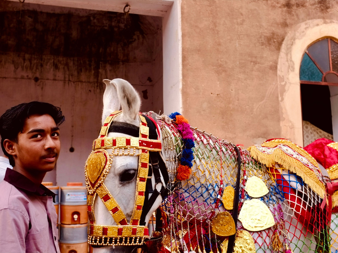 A Baisa’s Adventures-Shekhawati必去景点