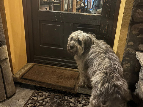 阿尔玛尼奇农庄酒店主图