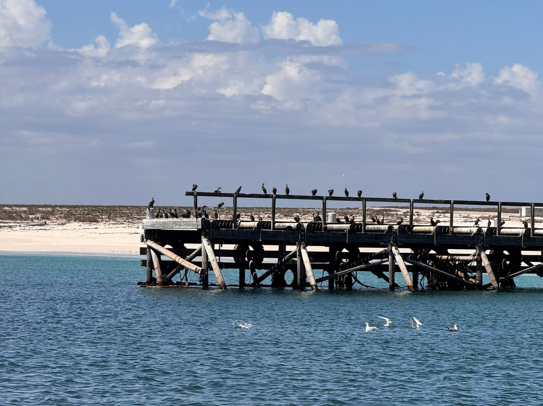 Cape Coast Expeditions-Yzerfontein必去景点