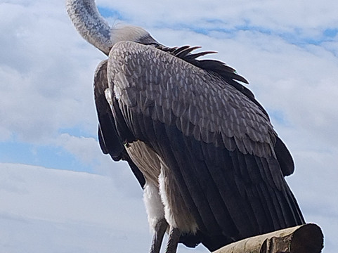 Wild Zoological Park-Bobbington必去景点