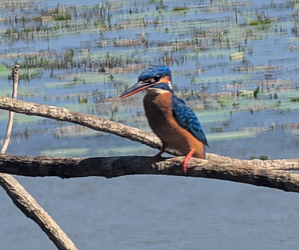 猎豹营舍-亚拉游猎营舍主图