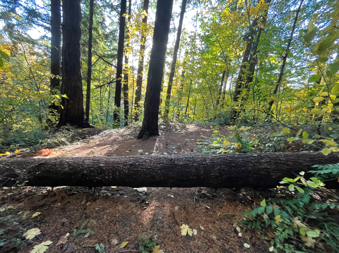 Kane Road Park-格雷舍姆必去景点