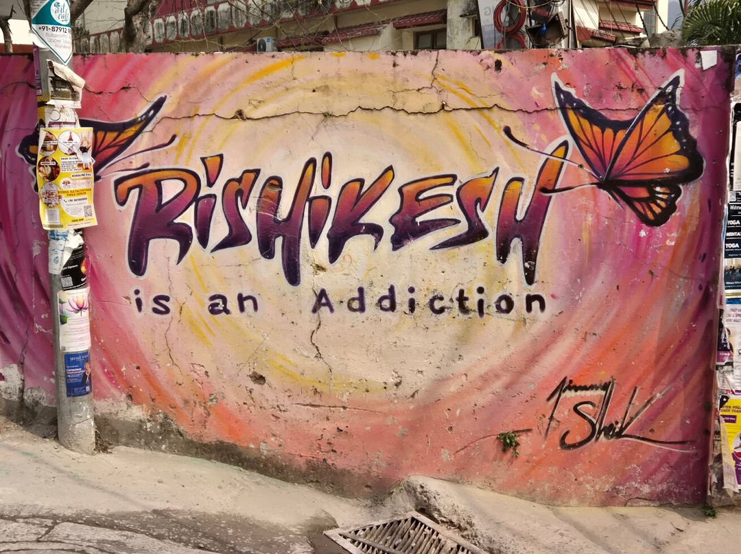 Vinyasa Yogashala-Tapovan必去景点