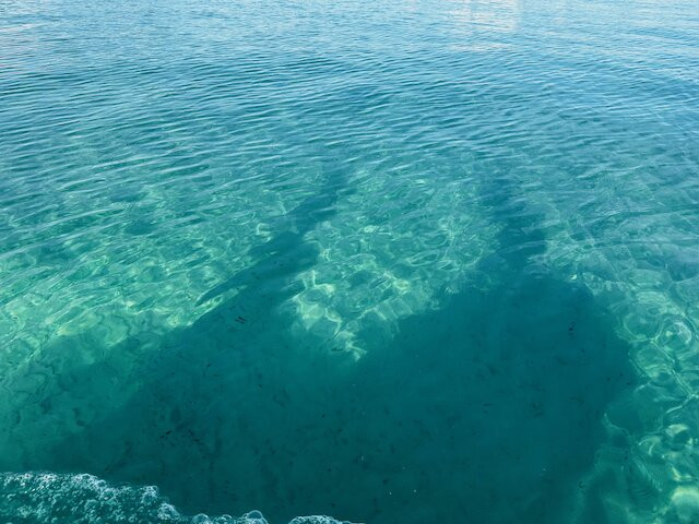 Plage de la Courtade-Porquerolles Island必去景点