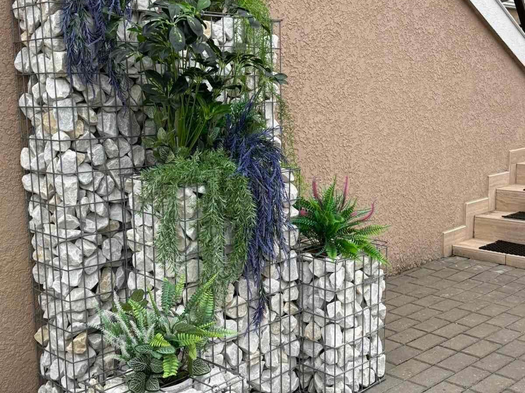 萨拉别墅主图