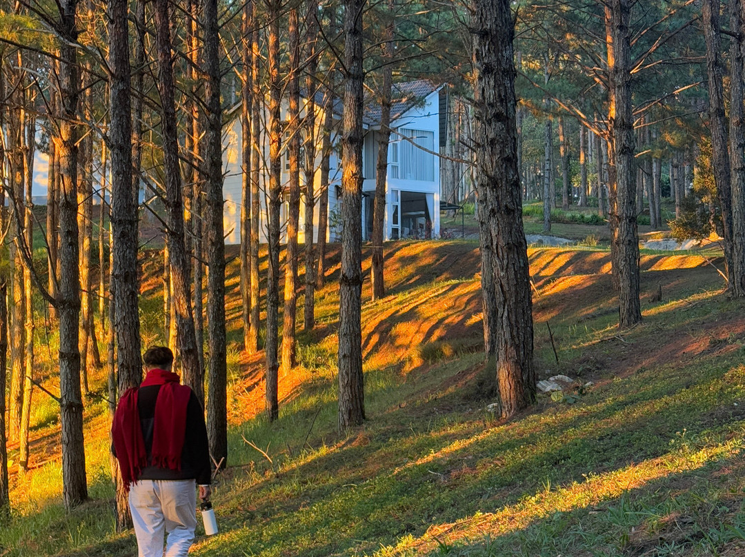 Sivananda Yoga Resort And Training Center-大勒必去景点