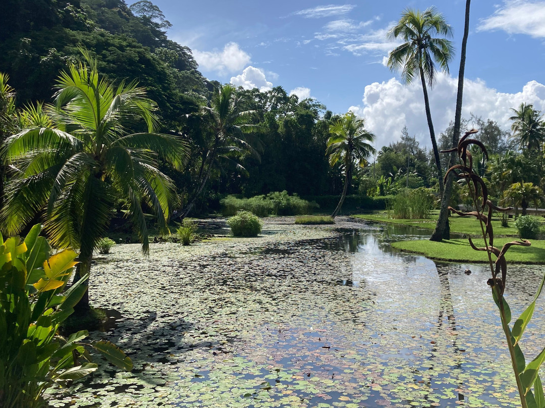 The Water Gardens of  Vaipahi-Taravao必去景点