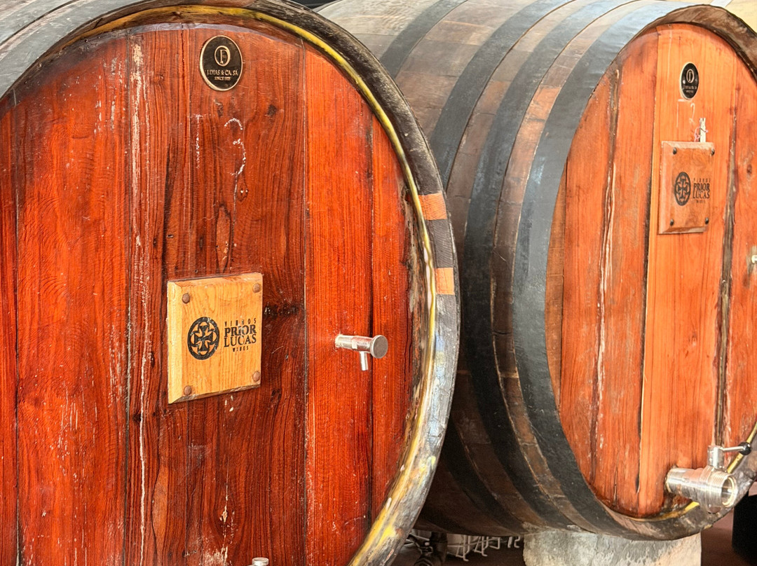 Prior Lucas Vinhos-科英布拉区必去景点