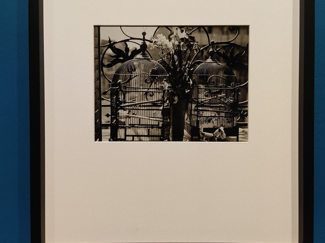 CAMERA - Centro Italiano per la Fotografia-都灵必去景点