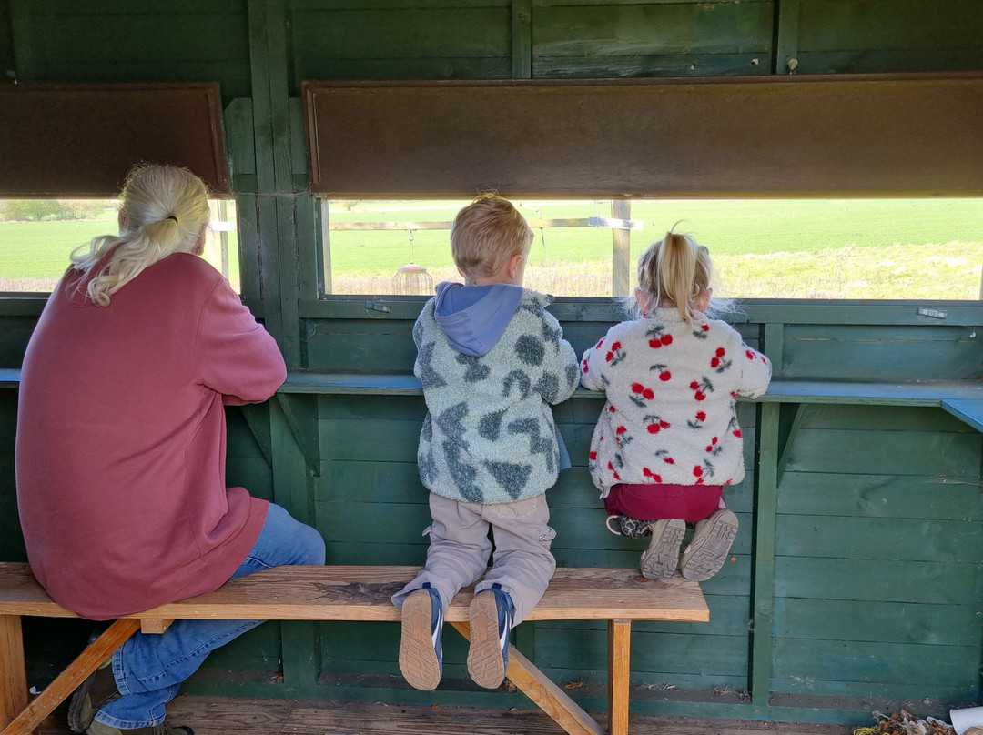 Lee Valley Animal Adventure Park-沃尔萨姆阿比必去景点