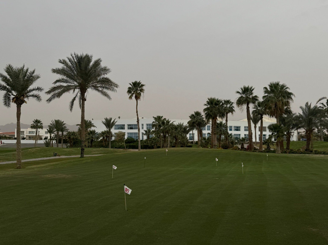 Pickalbatros Golf Course-沙姆沙伊赫必去景点