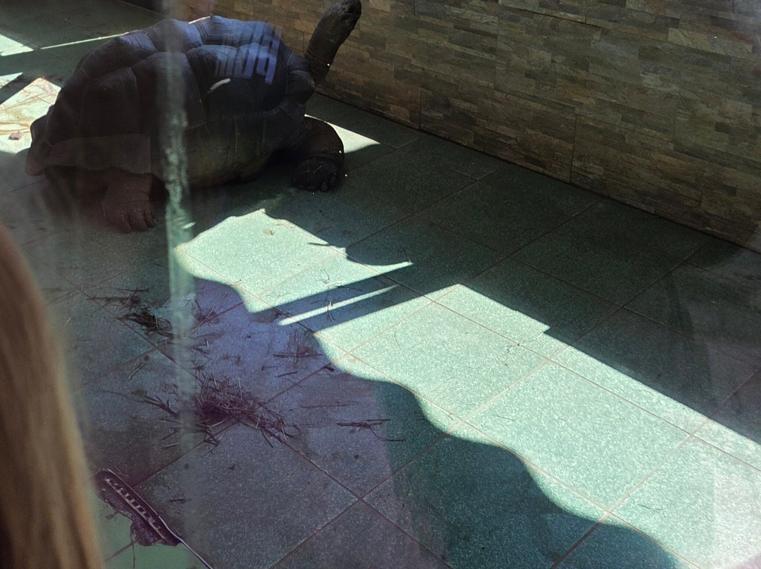 Reptilienzoo Happ-卡拉根渡口必去景点