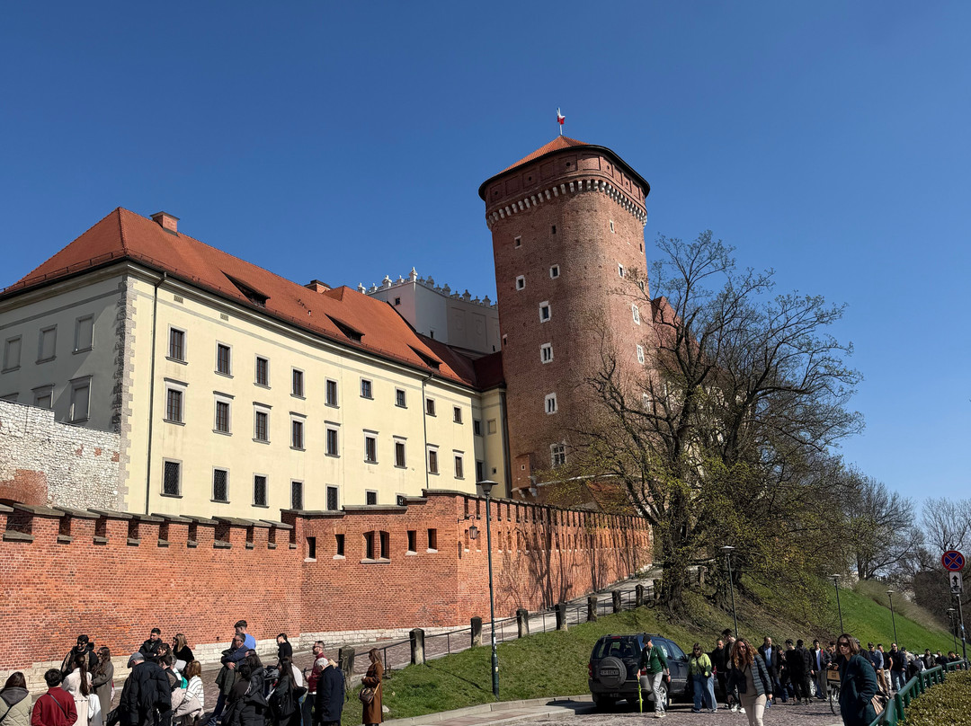 Boni Guia Cracovia-克拉科夫必去景点