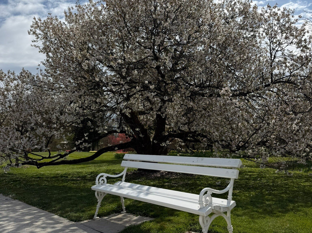 Arboretum Volčji Potok-Radomlje必去景点