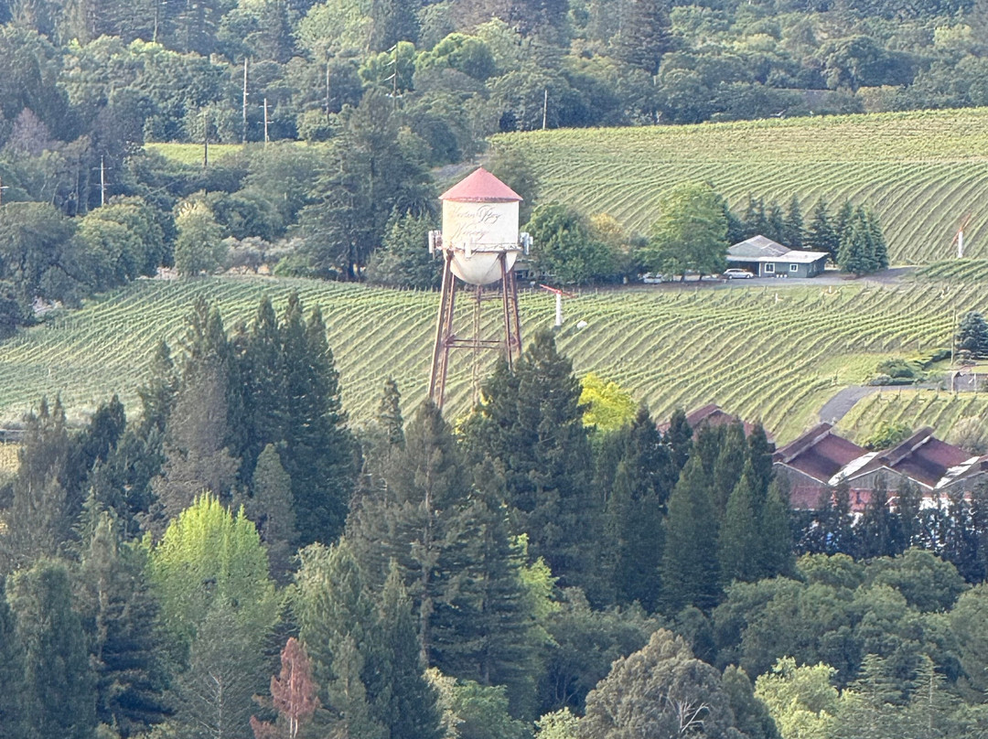 Wine Country Balloons-索诺玛必去景点