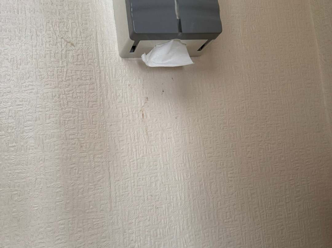 教练与马酒店主图