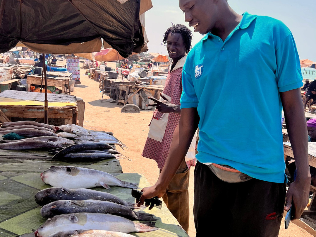 DST Travels Sénégal-Nianing必去景点