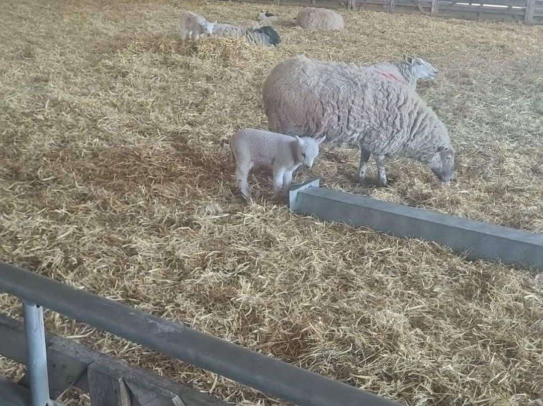 Elsham Hall Gardens and Country Park-Brigg必去景点