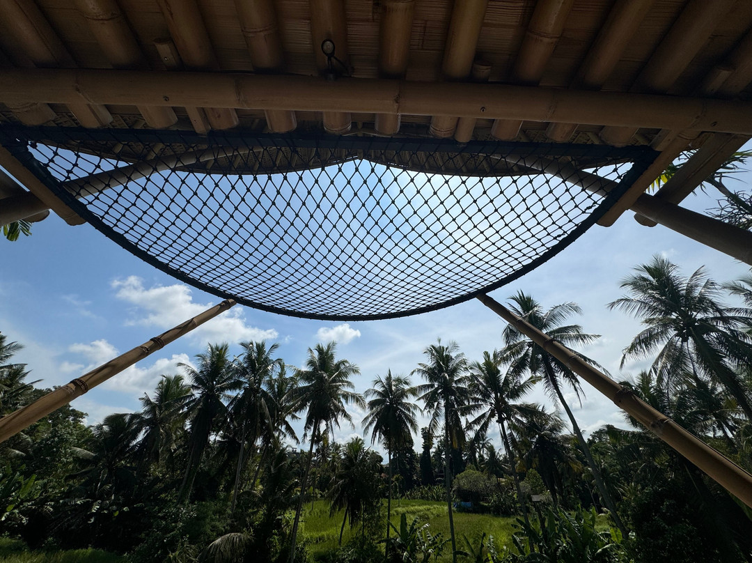 Emana Bambooscape