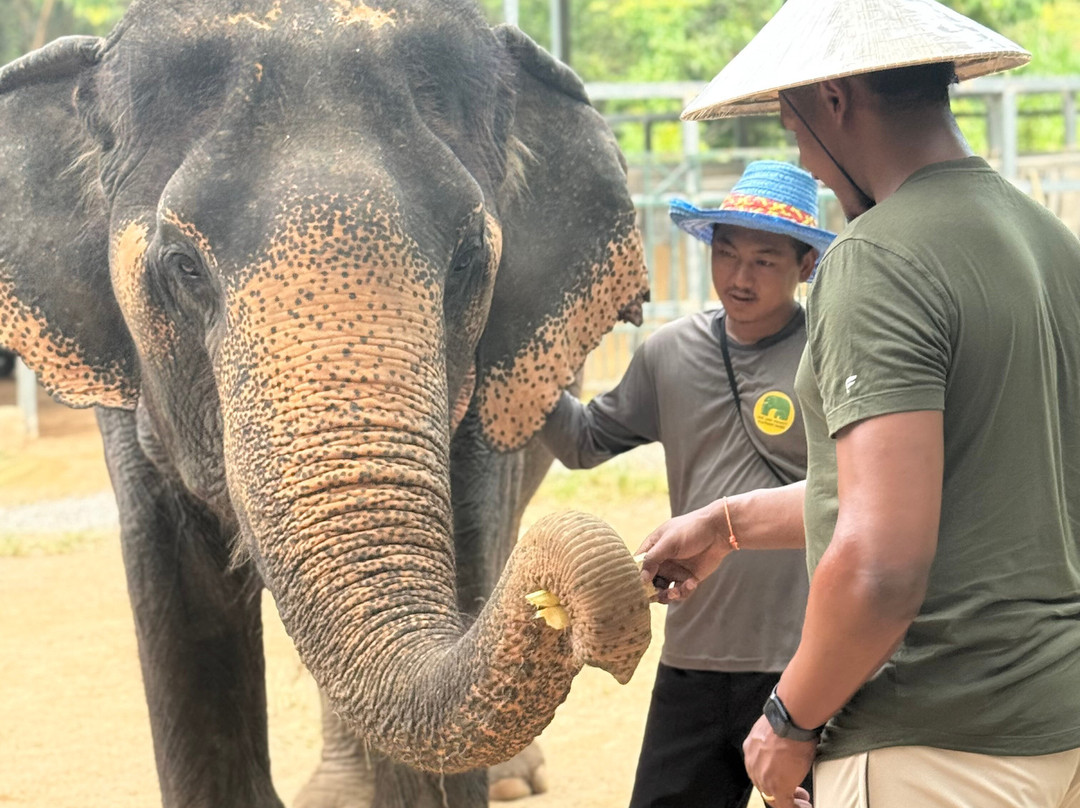 The Lake Phuket Elephant Home-Thep Krasatti必去景点