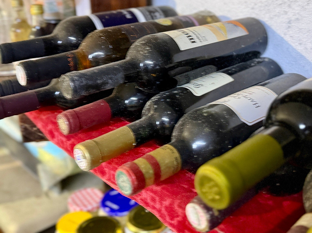 Explorer Family Boat-科尔丘拉岛必去景点