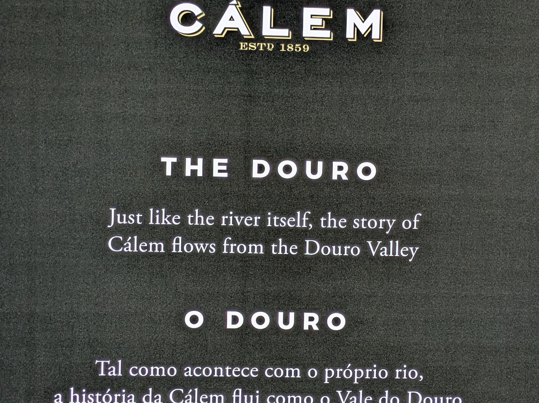 Porto Càlem-加亚新城必去景点