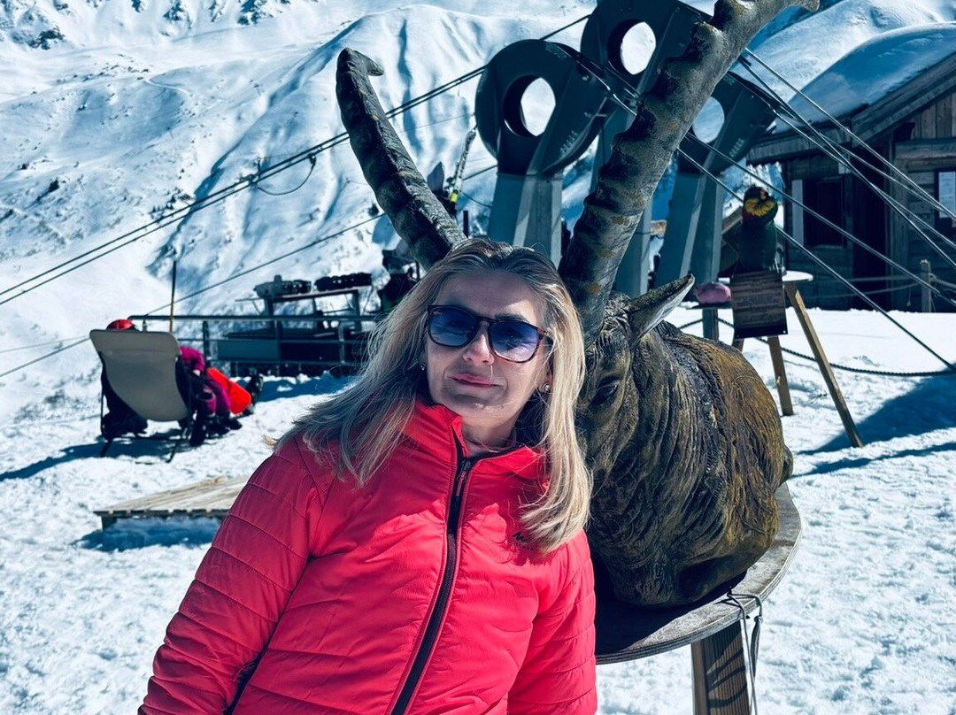 Hôtel Châlet Du Crey主图