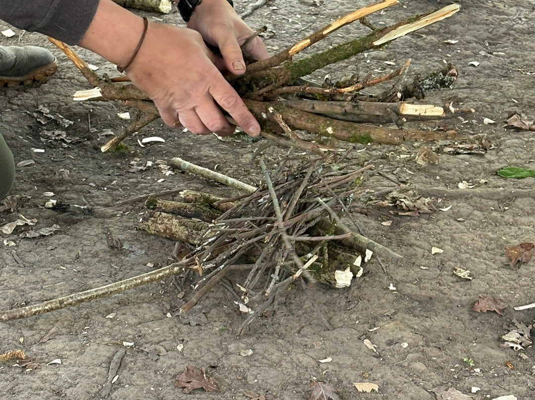 Wildway Bushcraft-Wimborne Minster必去景点