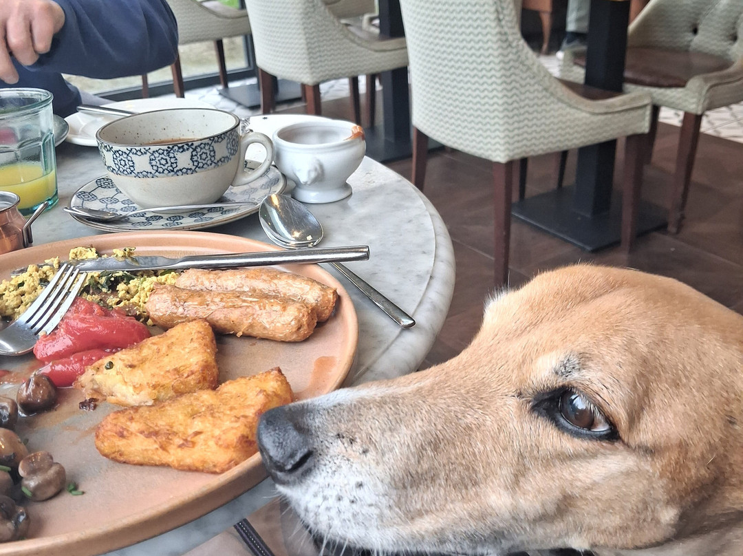 贝克大厅酒店主图