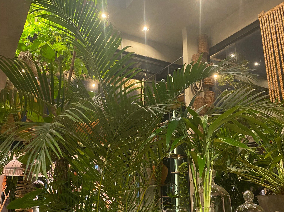 Ville Des Plantes Open Mall-Joao Pessoa必去景点