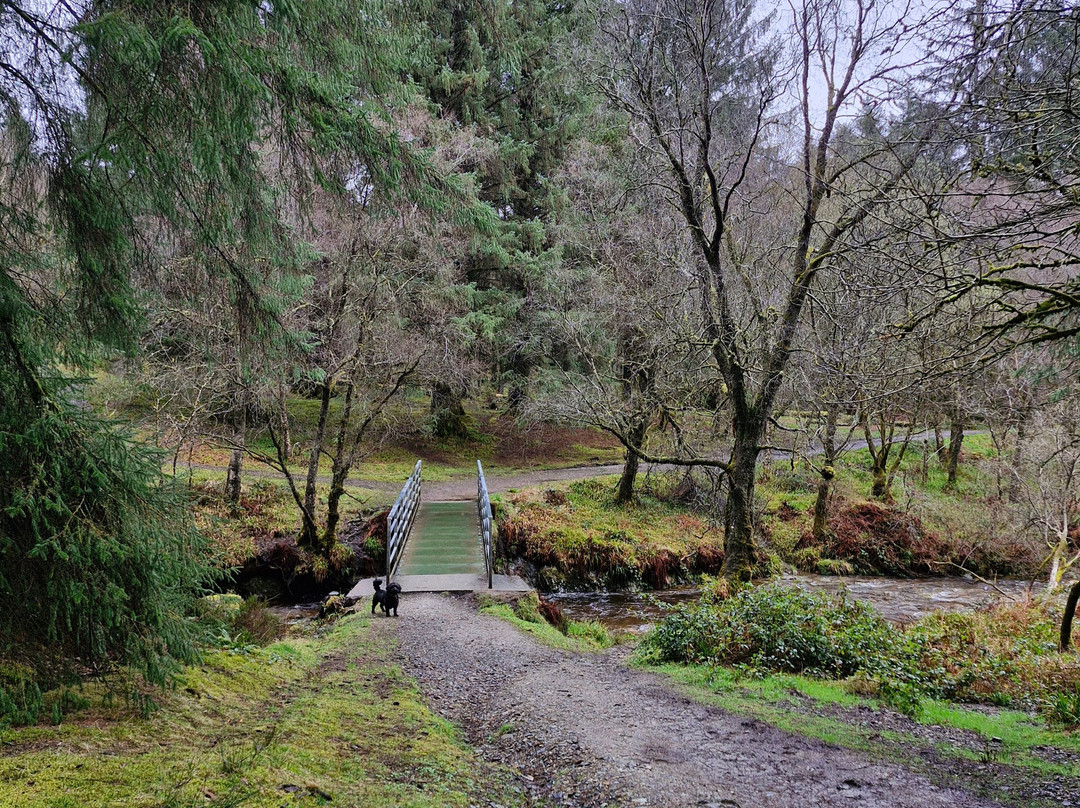 The Bishop's Glen-达农必去景点