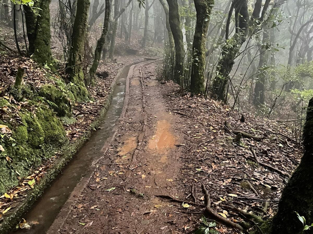Levada dos Cedros-莫尼什港必去景点