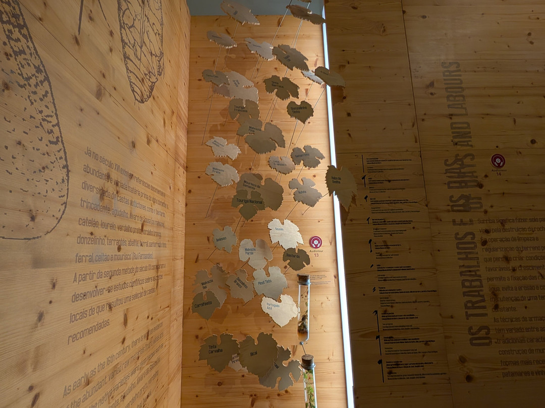 Museu do Douro-佩苏达雷瓜必去景点