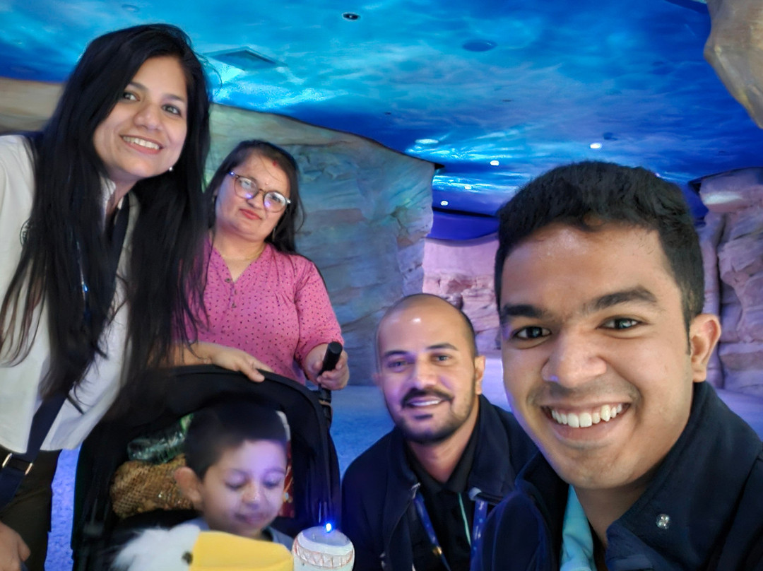 SeaWorld Yas Island Abu Dhabi-阿布扎比必去景点
