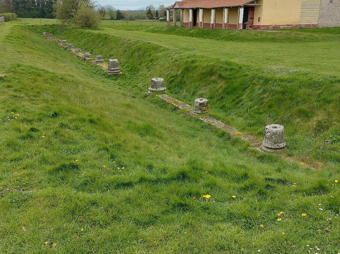 Wroxeter Roman City-Wroxeter必去景点