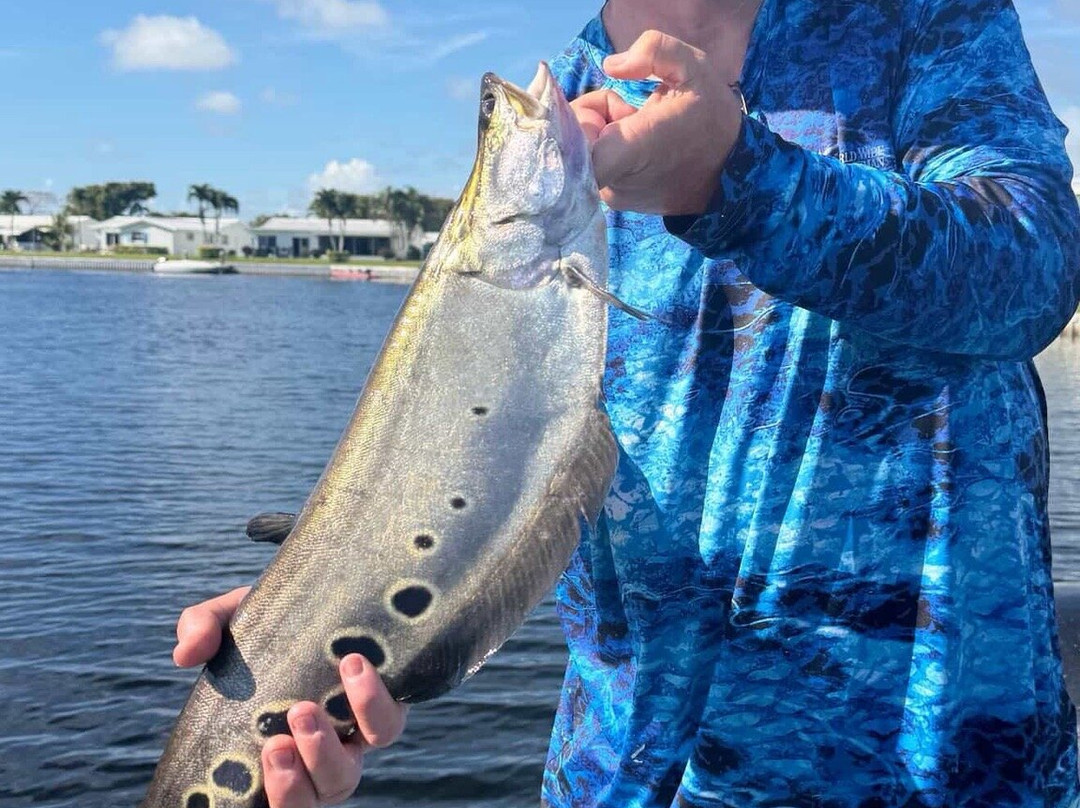 Okeechobee Bass Guide Service-奥基乔比必去景点
