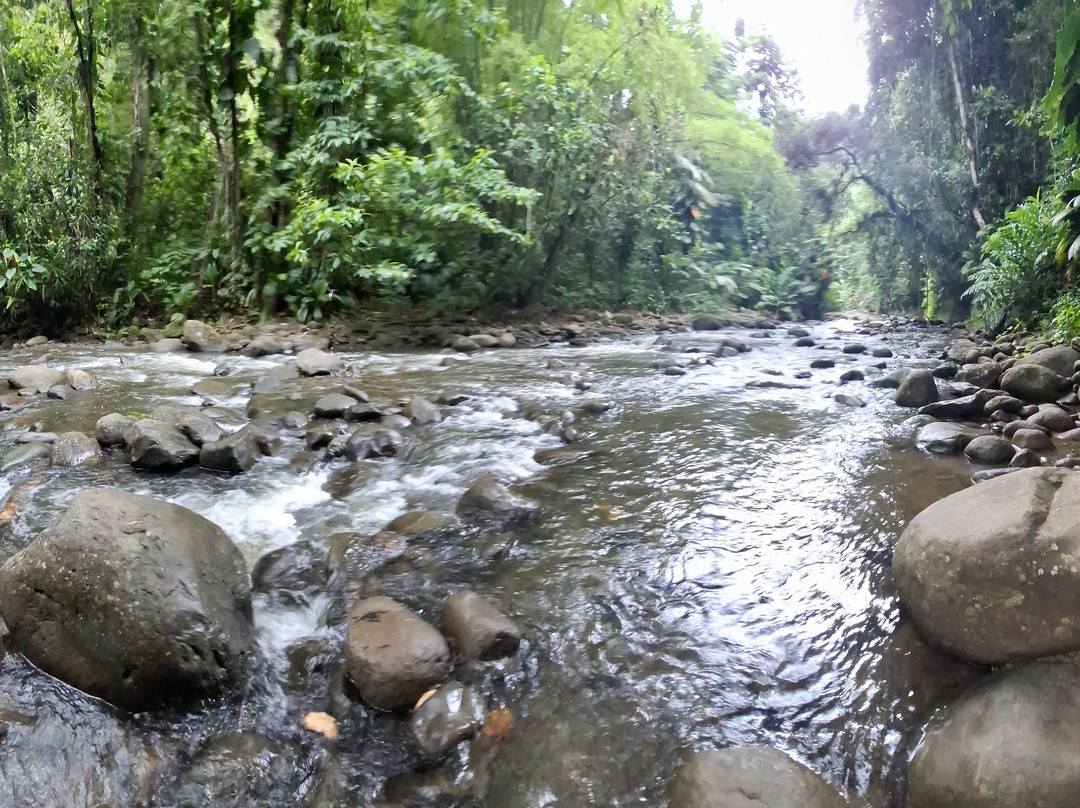 Canyon Moustique-Petit-Bourg必去景点