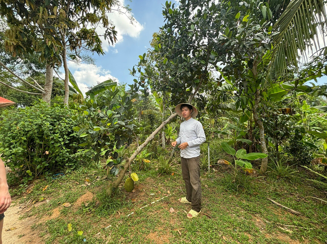 Phu Quoc Countryside-富国岛必去景点