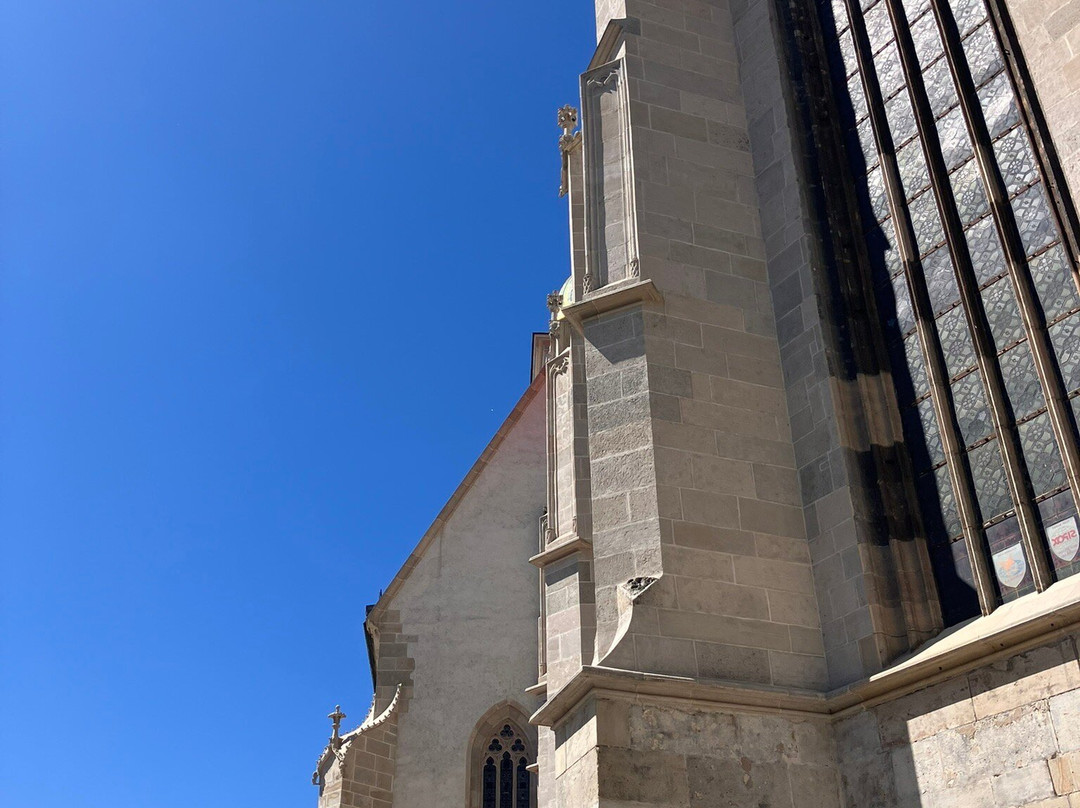 St. Martin´s Cathedral-布拉迪斯拉发必去景点
