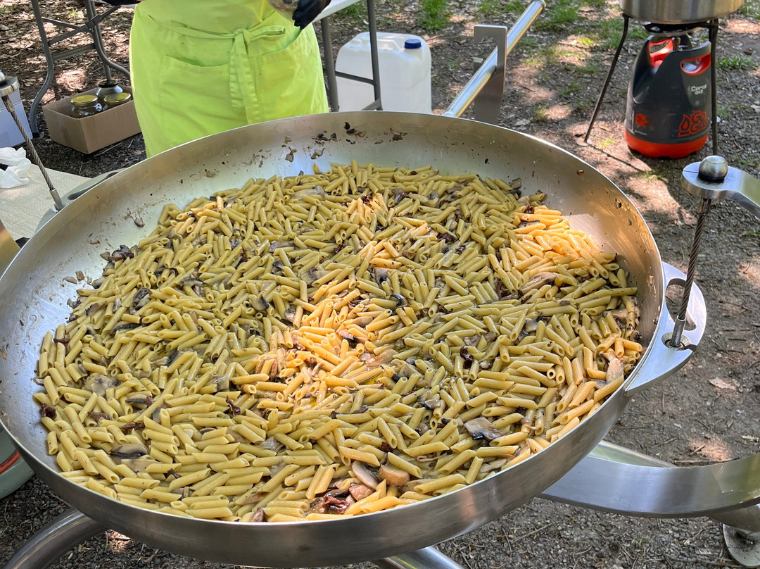 Truffle Hunting-卡兰巴卡必去景点