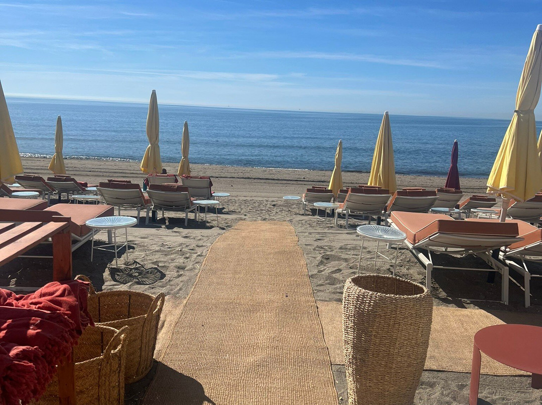 Les Tournesols
